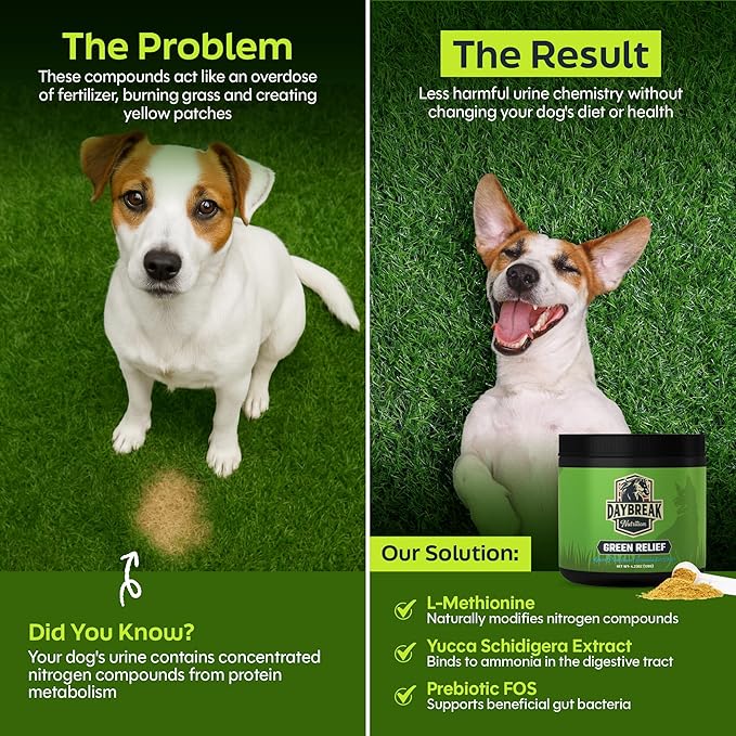 Green Relief Dog Urine Neutralizer for Lawn - Natural Grass Saver Powder Supplement with L-Methionine, Cranberry & Probiotics - Prevents Yellow Patches from Dog Pee - Made in USA