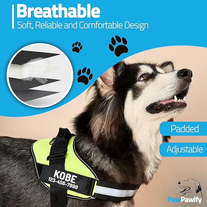 PawPawify Custom No Pull Dog Harness with Name and Phone Number, Heavy Duty Personalized Pet Vest to Prevent Tugging, Pulling, or Choking, Training and Walking (Green, XS (Chest 14-17in))
