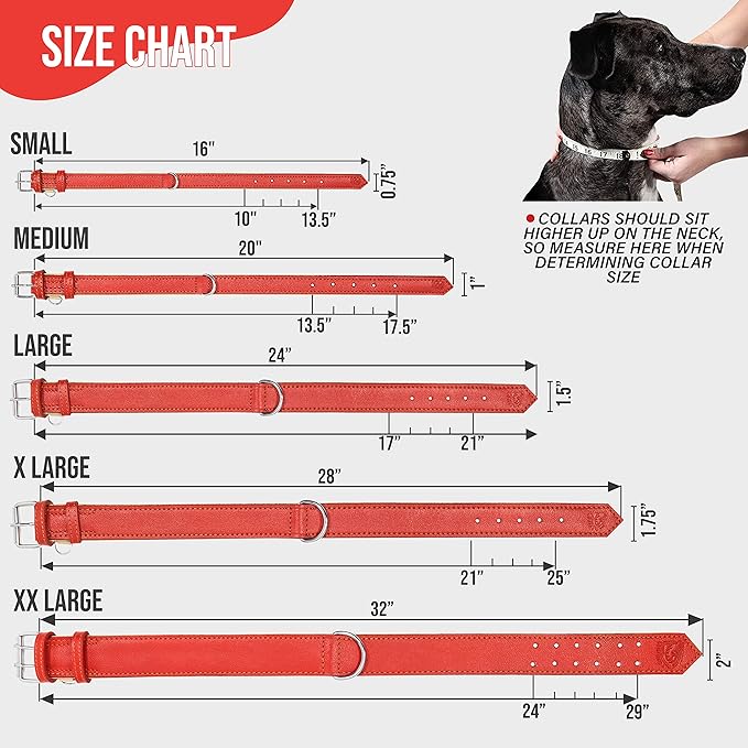 Riparo Red Leather Dog Collar - Heavy Duty Wide Dog Collar for Small, Medium, Large and Extra Large Dogs with Dog Tag Holder (XL: 1.75" Wide for 21”-25” Neck, Red)