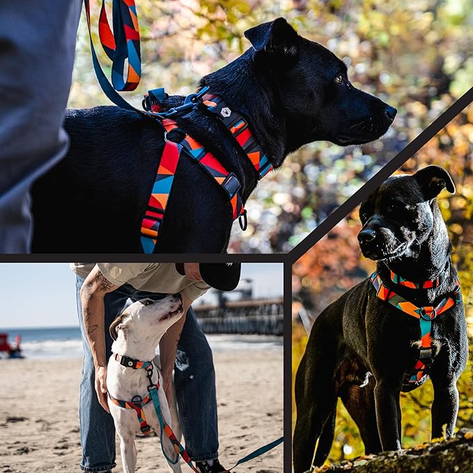 Wolfgang Heavy Duty Adjustable Dog Harness, Pull-Tested to Over 800 lbs for Walking & Training, ShatterShapes Print, Extra Large