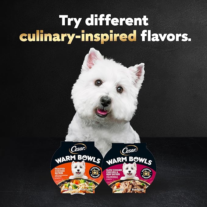 Cesar Warm Bowls Wet Dog Food Chicken & Beef Entree with Vegetables & a Hint of Cranberry in Broth, 2.7 oz. Bowls, 10 Count (Pack of 1)