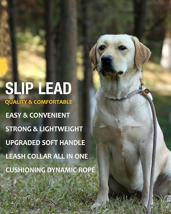 lynxking 6 FT Dog Leash Slip Lead 2 Pack Strong Heavy Duty Braided Dog Training Leash No Pull Training Lead Leashes for Medium Large and Small Dogs