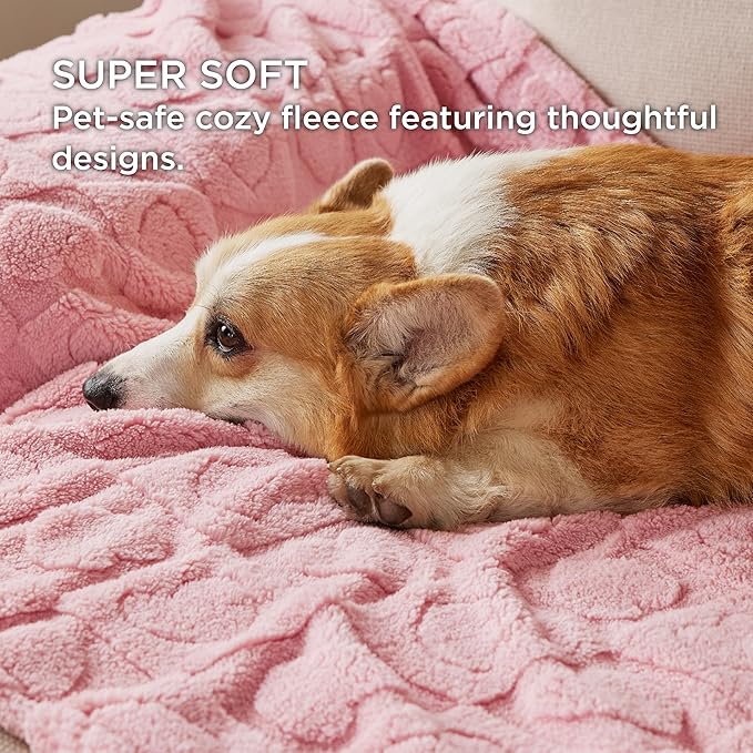 Bedsure 1 Pack 2 Dog Blankets for Small Dogs - 2pcs Washable Fluffy Fuzzy Puppy Cat Blanket with Premium 300GSM Coral Fleece Soft for Pet Kitten Doggy Doggy, Pink