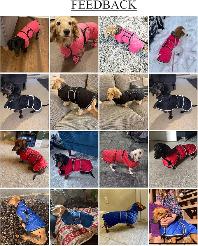 Warm Thermal Quilted Dachshund Coat, Dog Winter Coat with Warm Fleece Lining, Outdoor Dog Apparel with Adjustable Bands for Medium, Large Dog-Orange-L
