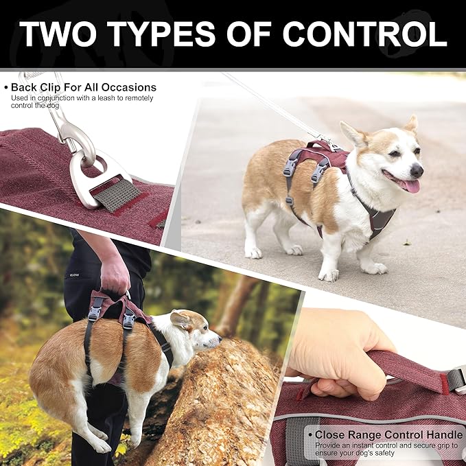 Escape Proof Dog Harness with Handle - Reflective No Pull Dog Vest, Lightweight Full Body Pet Harness Adjustable for Small Dogs Walking,Training(Maroon,Chest:14-22")