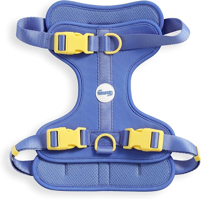 HNS1003C Arlo Large Adjustable Soft Padded No Pull Pet Harness with 3 Buckles and 3 Leash Clips, Curaçao