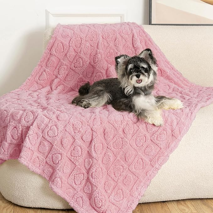 gogobunny Calming Plush Dog Cat Blanket 300GSM Coral Fleece, Ultra-Soft Machine Washable Pet Bedding for Small Medium Dogs Cats Puppies Kittens (Pink, 40x50)