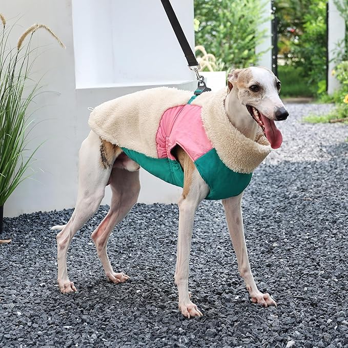 Dog Cold Weather Coats for Small Medium Large Gogs Outdoor Indoor Activities-Warm Pet Winter Clothes Jackets - Windproof Warm Colors Style Dog Vest (Blue, X-Large)
