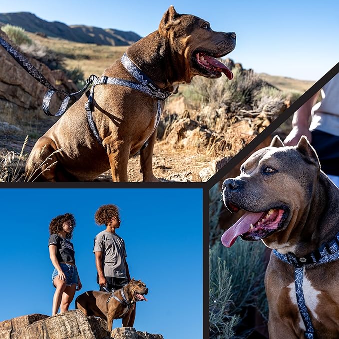 Wolfgang Heavy Duty Adjustable Dog Harness, Pull-Tested to Over 800 lbs for Walking & Training, WolfMountain Print, Medium