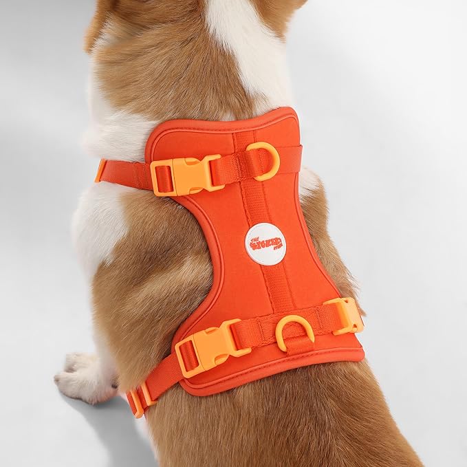 HNS1002A Arlo Medium Adjustable Soft Padded No Pull Pet Harness with 3 Buckles and 3 Leash Clips, Aperol