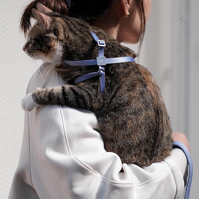 Cat Harness and Leash 2-in-1, Escape Proof Anti-Chocking Harness Adjustable Lighweight Leash for Walking Outoor Training for Kitten Small Large Cats Puppy, US IDA Bronze Award (Space Gray)