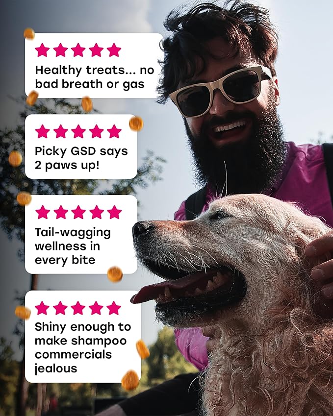 24-in-1 Daily Multivitamin Dog Chews – Beef Flavor – All-in-One PhD-Endorsed Support for Joints, Skin & Coat, Digestion, Immunity, Gut Health, Glucosamine, Omega-3, Probiotics & Antioxidants 140 Chews