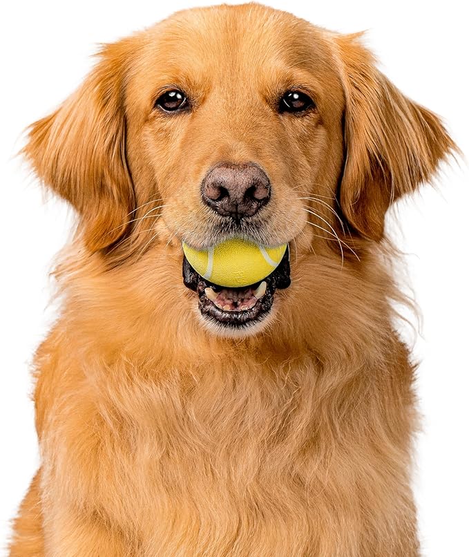 Playology Dog Toys | Rainbow of Scent Chew Toy Gift Box - Squeaky Chew Balls for Dogs | Peanut Butter, Chicken, & Beef Scented Toys - Easy to Clean and Made from Non Toxic Materials