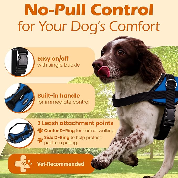 Bark Appeal Blue No-Pull Dog Harness for XS to Small Sized Pets – Adjustable, Reflective Vest with 3 Leash Clips for Added Control, Easy Walks & Training – Small