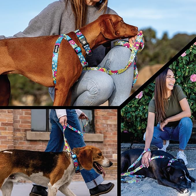 Wolfgang Heavy Duty Martingale Dog Collar with Quick Release Nylon Buckle for Walking & Training, LazyDaisy Print, Small