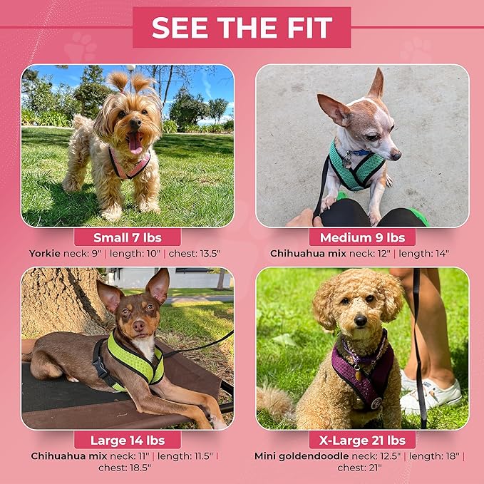 Gooby Black X-Large Polyester Comfort X Harness for Small Dogs, No Pull, Choke-Free, Lightweight Mesh, Machine Washable