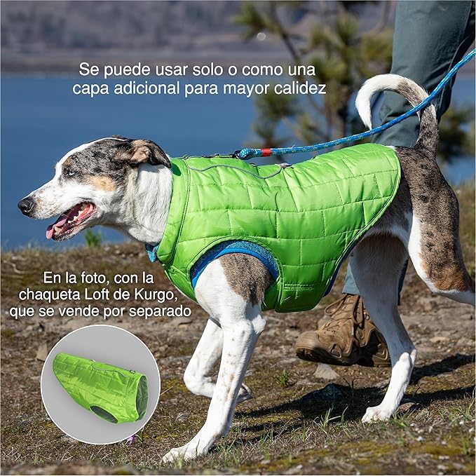 Kurgo Core Dog Sweater, Knit Dog Sweater With Fleece Lining, Cold Weather Pet Jacket, Zipper Opening for Harness, Adjustable Neck, Year-Round Sweater for Medium Dogs (Heather Orange, Medium)