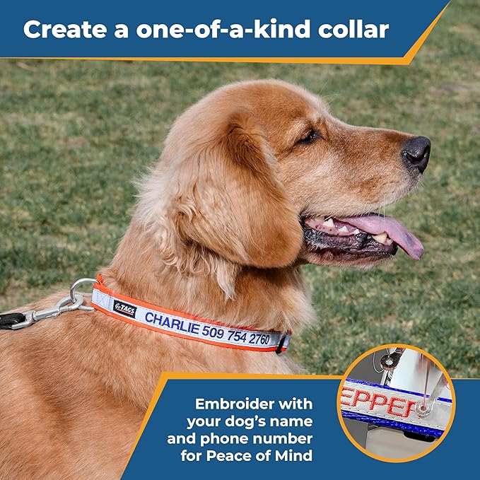 GoTags Reflective Personalized Dog Collar, Custom Embroidered with Pet Name and Phone Number in Blue for Boy and Girl Dogs, Adjustable Large