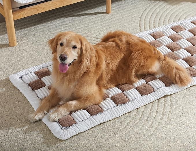 Couch Cushion Cover for dogs Sofa Cover Washable Pet Love Seat Couch Covers for Sofa Slipcovers Couch Protector Blanket for Dogs Sofa Cushion Covers for Pets Washable Pad Green 70x150cm/27.6x59in