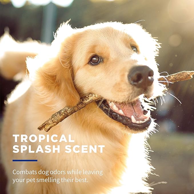 Wet Ones for Pets Desmellizing Multi-Purpose Dog Wipes with Baking Soda Dog Desmellizing Wipes for All Dogs in Tropical Splash Scent, Wet Ones Wipes for Desmellizing Dogs (Pack of 1,100 Count Total)