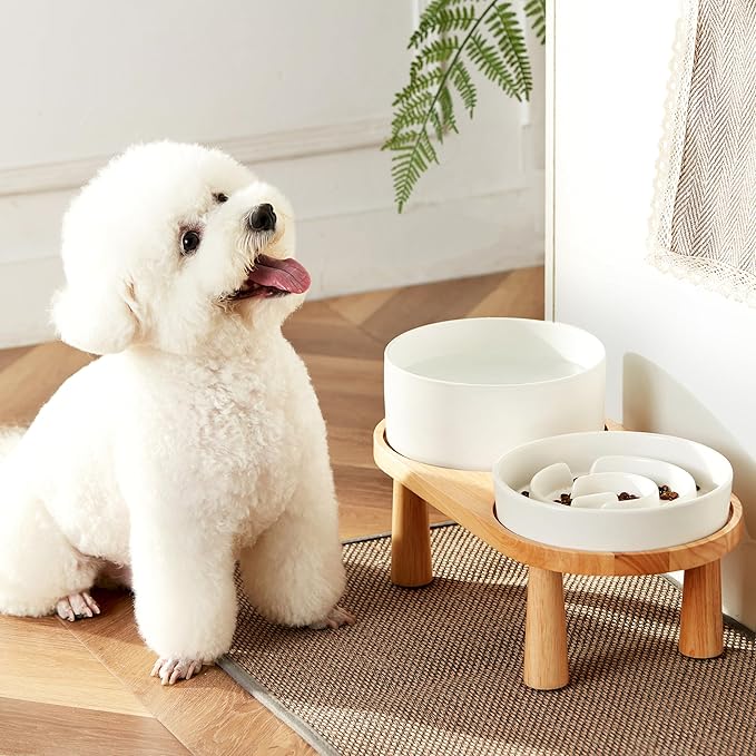 Ceramic Slow Feeder and Water Bowl Set for Medium and Large Dogs, 8.0inch Ceramic Dog Bowls Elevated with Wooden Stand, 2.0 Cups Dog Slow Feeder(30oz) and 70oz Water Bowl Set, White