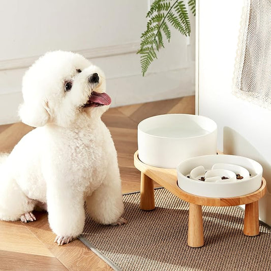 Ceramic Slow Feeder and Water Bowl Set for Medium and Large Dogs, 8.0inch Ceramic Dog Bowls Elevated with Wooden Stand, 2.0 Cups Dog Slow Feeder(30oz) and 70oz Water Bowl Set, White