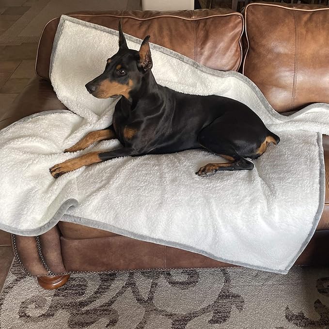 4Knines Plush Reversible Waterproof Dog Blanket – Soft Sherpa & Microfiber Pet Throw – Durable Couch, Bed, or Crate Protector for Dogs – Machine Washable Pet Cover – 60x48 Inch – Grey Color