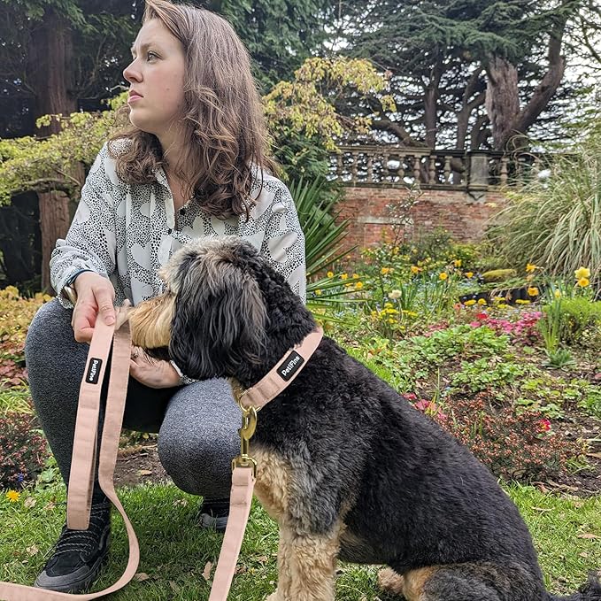PetiFine Adjustable Pink Dog Collar and Leash Set, Super Soft Velvet with Metal Buckle for Small to Large Dogs