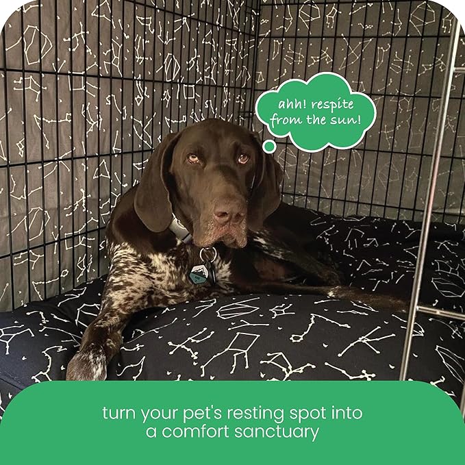 Molly Mutt Rocketman Dog Crate Cover, 100% Cotton Canvas Cover with 2 Roll-Up Panels, Ideal for Dog or Cat Crate, Durable, Washable, and Free of Harmful Chemicals, 30" x 19" x 21"