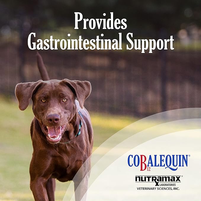 Nutramax Laboratories Cobalequin B12 Supplement for Medium to Large Dogs, 45 Chewable Tablets, Hydrolyzed Chicken, 2.08 ounces