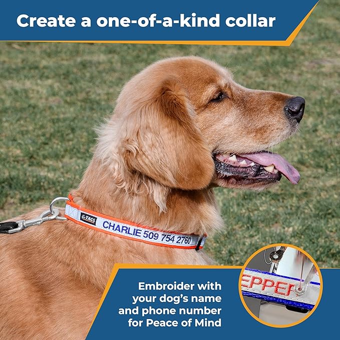 GoTags Reflective Personalized Dog Collar, Custom Embroidered Safety Collar with Pet Name and Phone Number for Boy and Girl Dogs, Small, Medium, and Large Adjustable Sizes (Large, Beige)