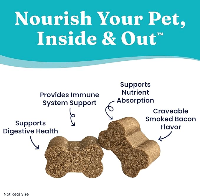Solid Gold Dog Probiotics for Digestive Health - Probiotics for Dogs with Fiber & Digestive Enzymes for Bowel Support & Gut Health - Bacon Flavor Soft Chews to Support Digestion for All Ages - 120ct