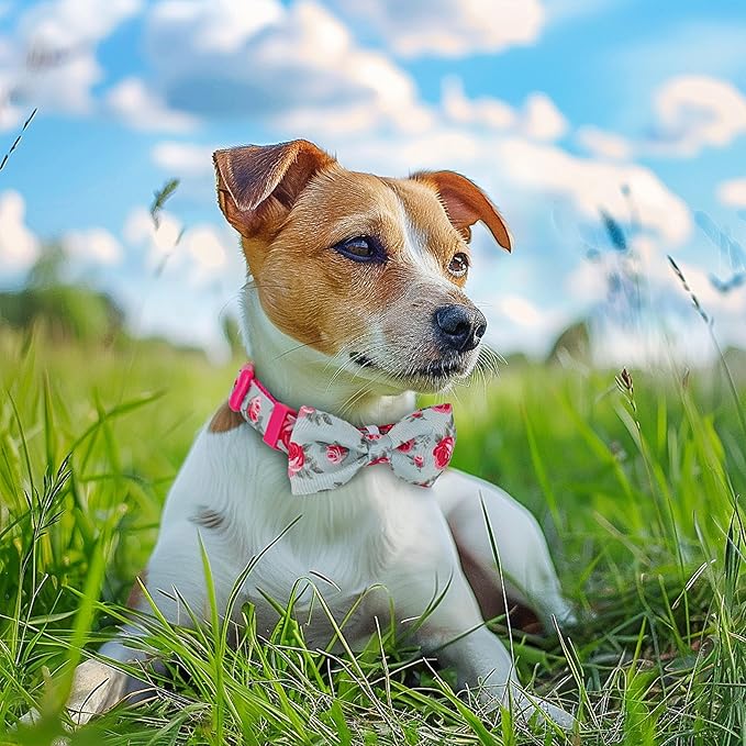 azuza Dog Collar with Bow Tie, Soft and Comfortable Adjustable Bowtie Dog Collar for Small Dogs (S, Camellia Flower)