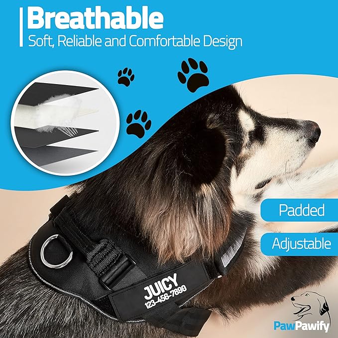 PawPawify Custom No Pull Dog Harness with Name and Phone Number, Heavy Duty Personalized Pet Vest to Prevent Tugging, Pulling, or Choking, Training and Walking (Black, XS (Chest 14-17in))