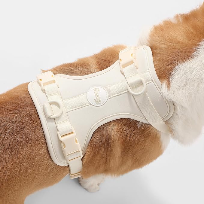HNS1002L Arlo Medium Adjustable Soft Padded No Pull Pet Harness with 3 Buckles and 3 Leash Clips, Bailey