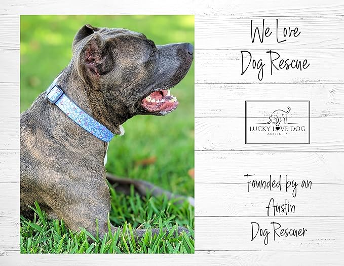 Lucky Love Dog - Adjustable Dog Collar with Easy Click Buckle for Small to Large Dogs, Durable, & Comfortable for Male & Female Dogs, Pet Collar for Puppies & Adult Ones - Winterblue, Medium