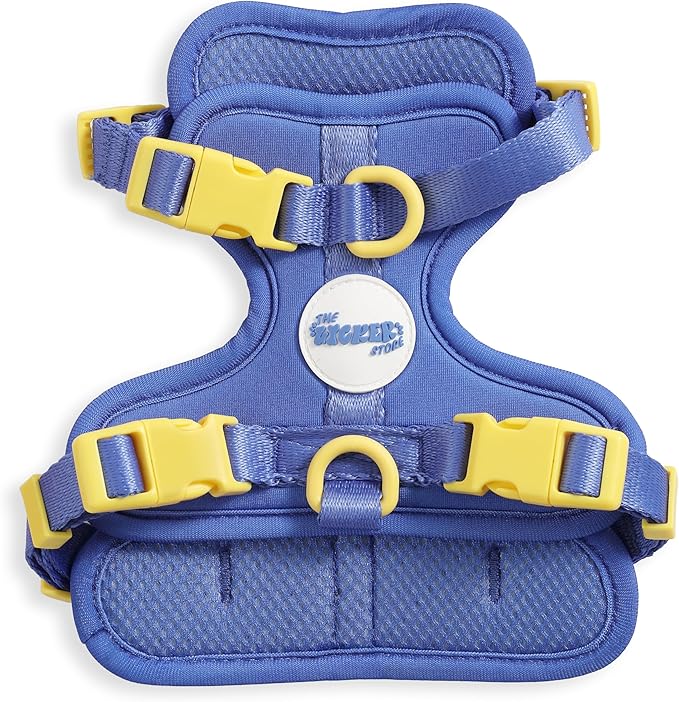 HNS1000C Arlo Extra Small Adjustable Soft Padded No Pull Pet Harness with 3 Buckles and 3 Leash Clips, Curaçao