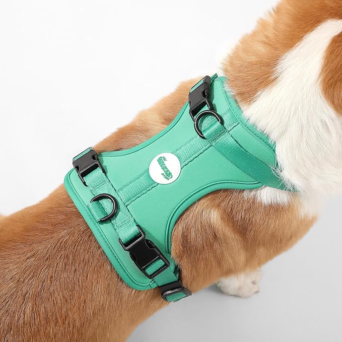 HNS1002K Arlo Medium Adjustable Soft Padded No Pull Pet Harness with 3 Buckles and 3 Leash Clips, Julep