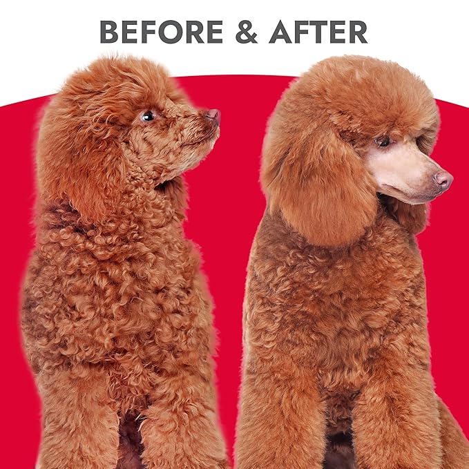Kong Oatmeal Dog Shampoo, Soothes & Moisturizes, Oatmeal & Honey Scent - 18 fl oz, Biodegradable, pH-Balanced, Sulfate-Free, Cruelty-Free, for Sensitive Skin, All Coat Types, Made in USA