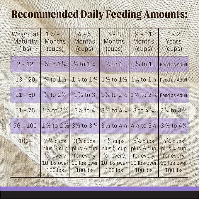 Merrick Backcountry Grain Free Dry Puppy Dog Food, Kibble with Freeze Dried Raw Pieces, Chicken Recipe - 20.0 lb. Bag