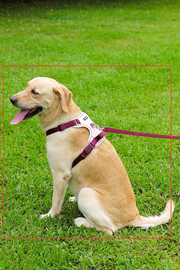 No Pull Dog Harness Leash and Collar Set, Adjustable Dogs Vest with Reflective Strip Soft Handle for Small Medium Large Sized Dog Pink