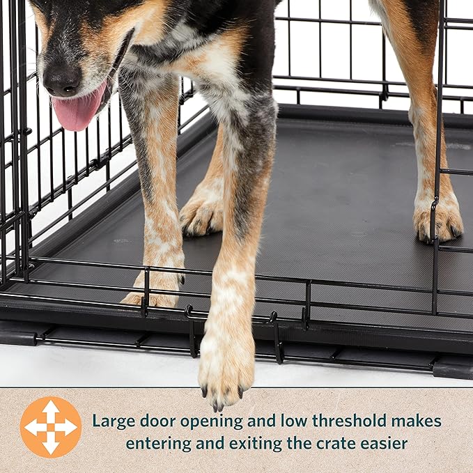 MidWest Homes for Pets Small LifeStages Single Door 24-Inch Folding Dog Crate, Enhanced Security, Includes Leak-Proof Pan, Divider Panel, Handle, Rubber Feet