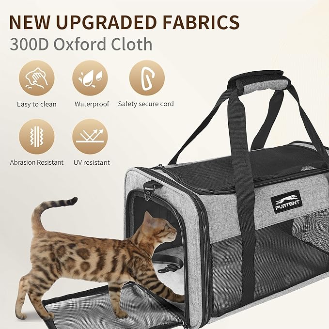 TSA Approved Pet Carrier for Small Cats and Puppies, Soft-Sided and Foldable, Cat and Dog Carrier Fits Pets Up to 15 lbs, Durable Portable Travel Bag with Litter Box, Dark Gray