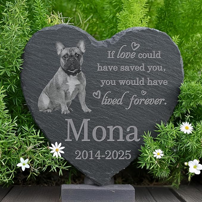 Pet Memorial Stone with Photo, Dog Memorial Gifts for Loss of Dog, Personalized Pet Memorial Gifts, Pet Loss Gift - Lived Forever（Heart）