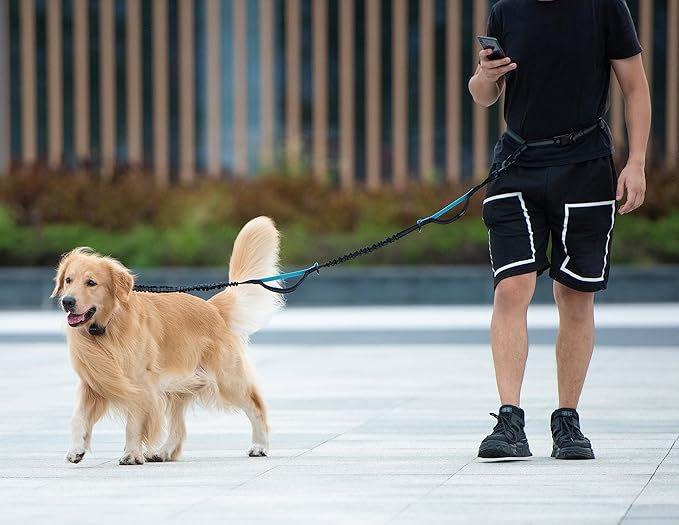 iYoShop Hands Free Dog Leash with Zipper Pouch, Dual Padded Handles and Durable Bungee for Walking, Jogging and Running Your Dog (Large, 25-120 lbs, Blue)
