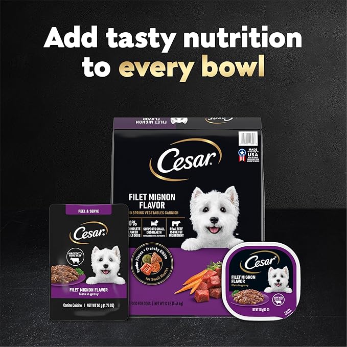 Cesar Filets in Gravy Wet Dog Food, Filet Mignon Flavor, 1.76 oz. Mini-Pouches, 20 Count (Pack of 1)