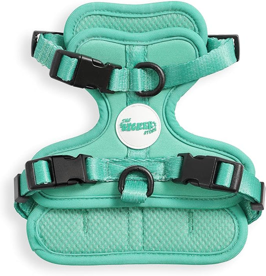 HNS1000K Arlo Extra Small Adjustable Soft Padded No Pull Pet Harness with 3 Buckles and 3 Leash Clips, Julep