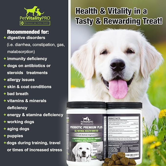 Probiotics for Dogs with Natural Digestive Enzymes ● 4 Bill CFUs/2 Soft Chews ● Dog Diarrhea Upset Stomach Yeast Gas Bad Breath Immunity Allergies Skin Itching Hot Spots ● 150 Count