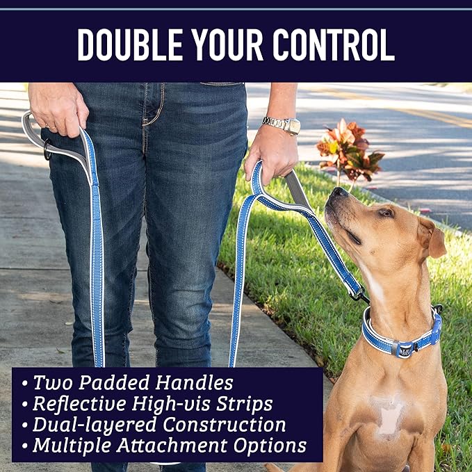 Leash Boss Double Handle Dog Leash, 6 Ft Reflective Dog Leash with Two Padded Handles for Large Dogs or Medium Dogs That Pull (Red)