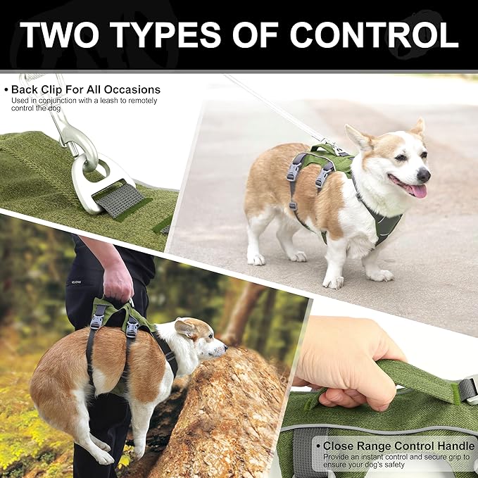 Escape Proof Dog Harness with Handle - Reflective No Pull Dog Vest, Lightweight Full Body Pet Harness Adjustable for Small Dogs Walking,Training(Green,Chest:14-22")